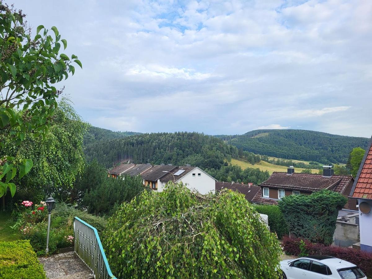 Apartamento Birkenstuebchen Lautenthal Exterior foto